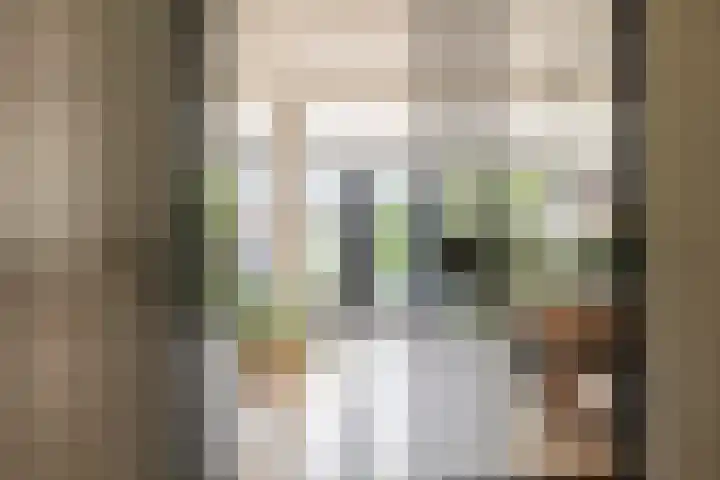 Snippedrift 26 Reeuwijk thumbnail 22