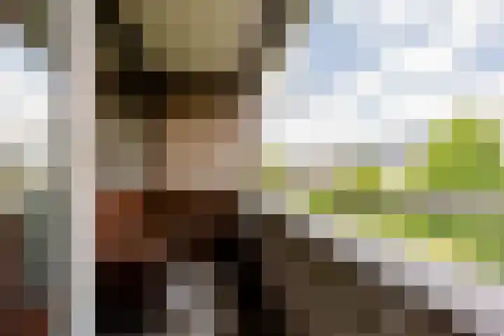 Snippedrift 26 Reeuwijk thumbnail 28