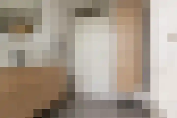 Snippedrift 26 Reeuwijk thumbnail 34