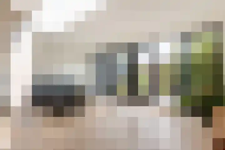 Snippedrift 26 Reeuwijk thumbnail 4