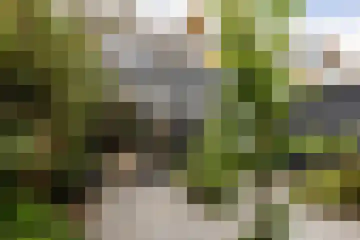 Snippedrift 26 Reeuwijk thumbnail 45