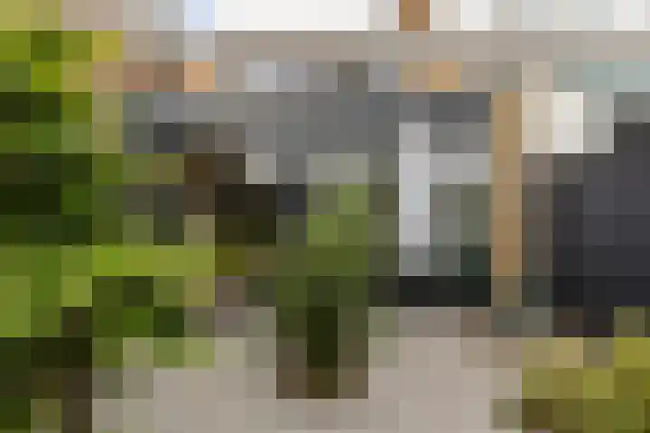 Snippedrift 26 Reeuwijk thumbnail 46