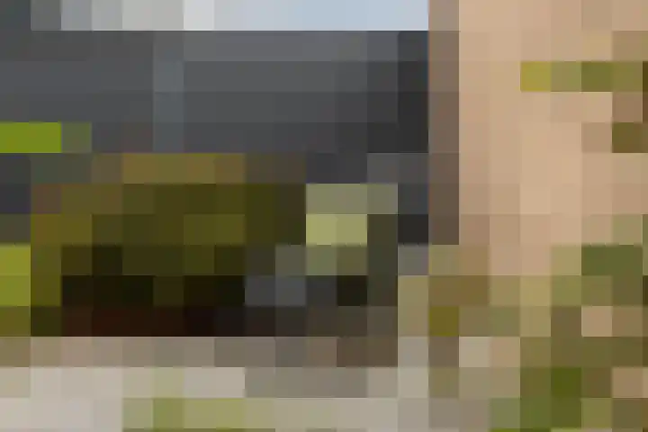 Snippedrift 26 Reeuwijk thumbnail 47