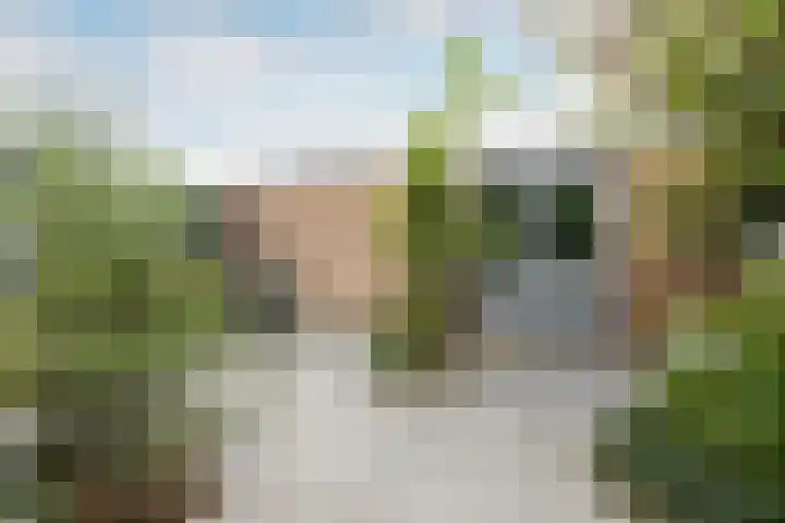 Snippedrift 26 Reeuwijk thumbnail 48