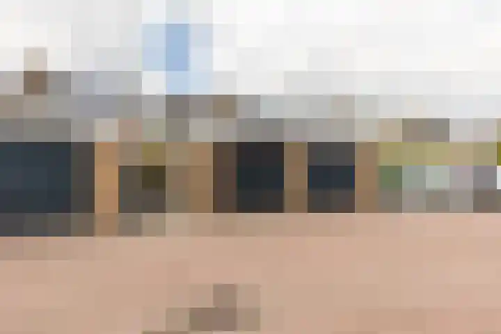 Snippedrift 26 Reeuwijk thumbnail 49