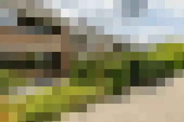 Snippedrift 26 Reeuwijk thumbnail 52