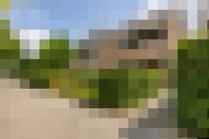 Snippedrift 26 Reeuwijk thumbnail 53