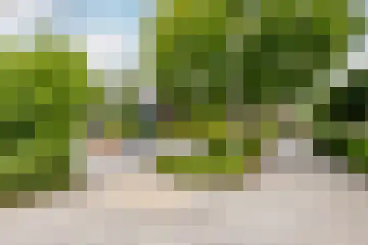 Snippedrift 26 Reeuwijk thumbnail 54