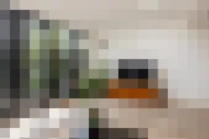 Snippedrift 26 Reeuwijk thumbnail 8