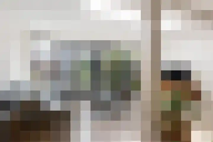 Snippedrift 26 Reeuwijk thumbnail 9