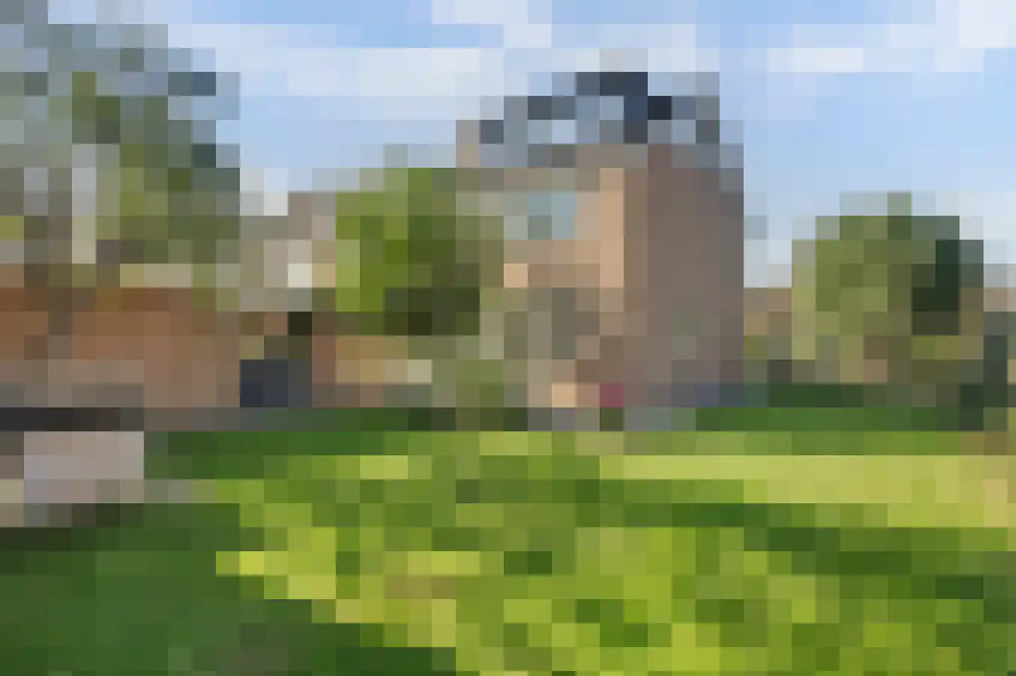 Snippedrift 36 in Reeuwijk