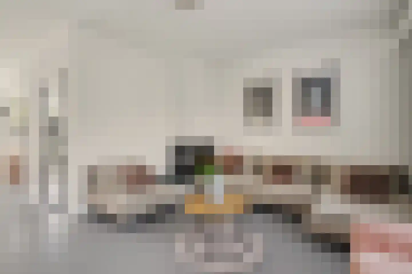 Snippedrift 36 Reeuwijk thumbnail 12