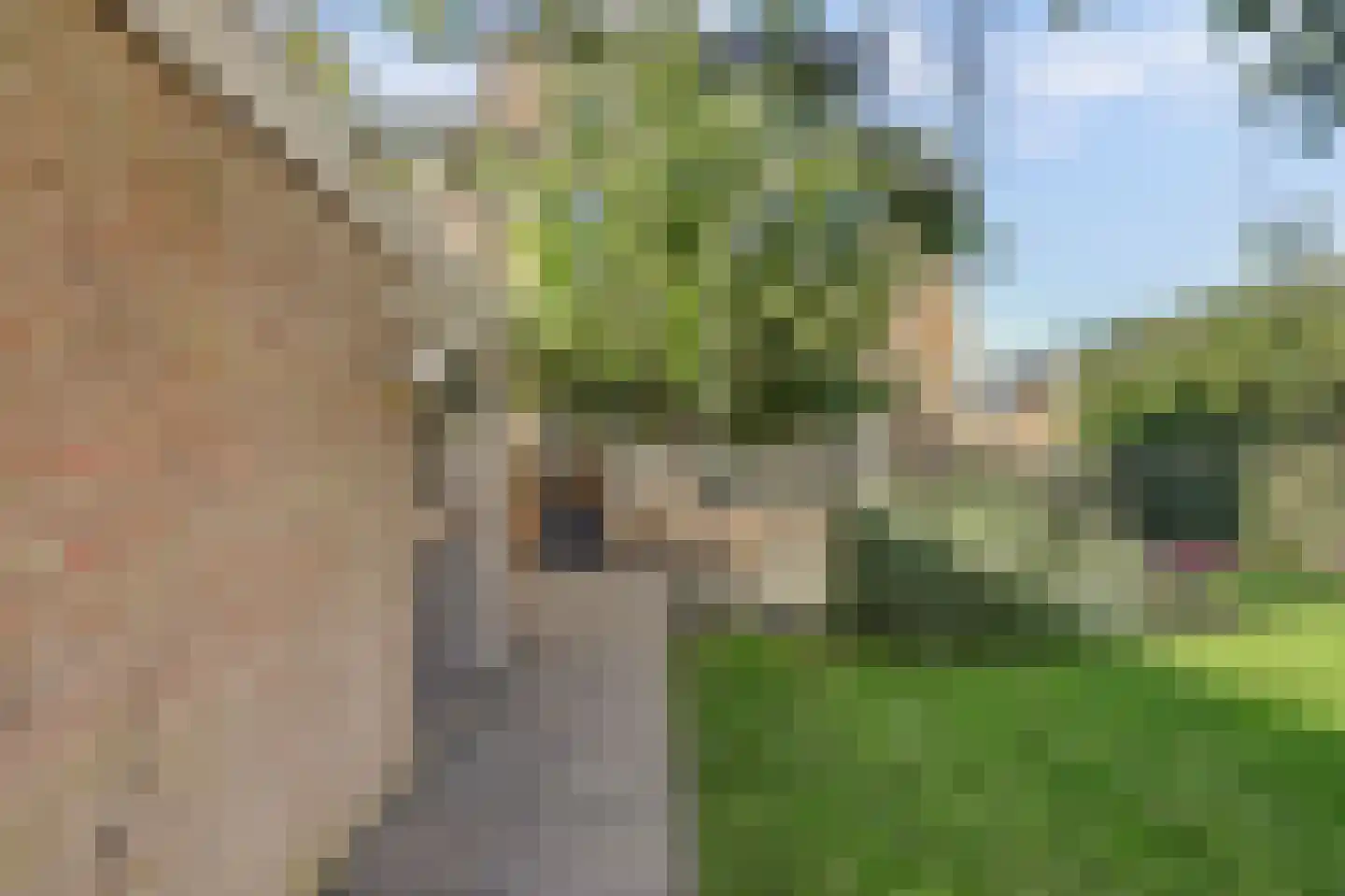 Snippedrift 36 Reeuwijk thumbnail 35