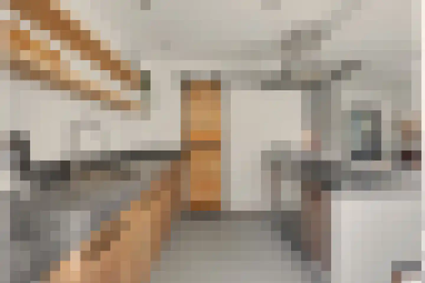 Snippedrift 36 Reeuwijk thumbnail 6