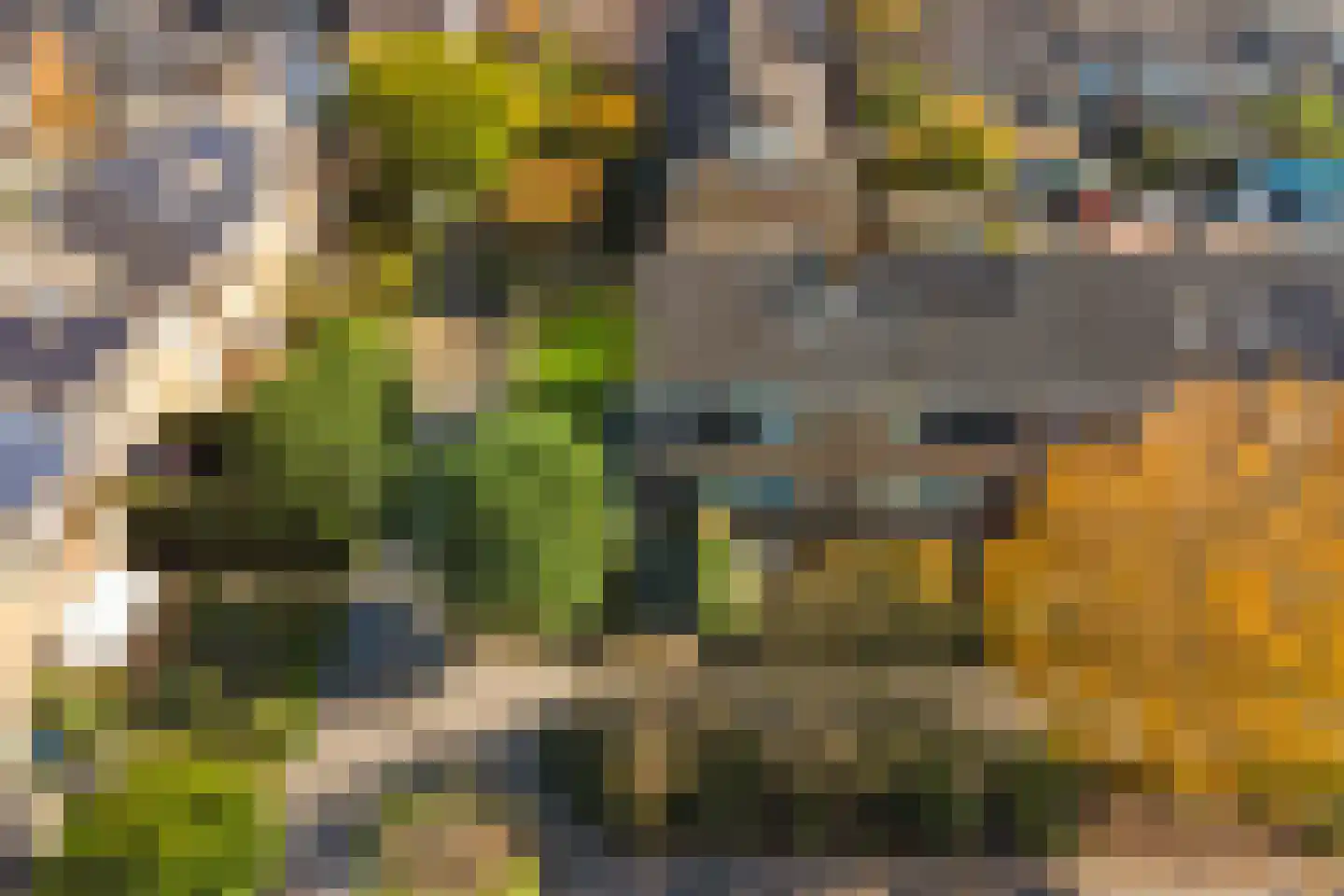 Snippedrift 36 Reeuwijk thumbnail 9