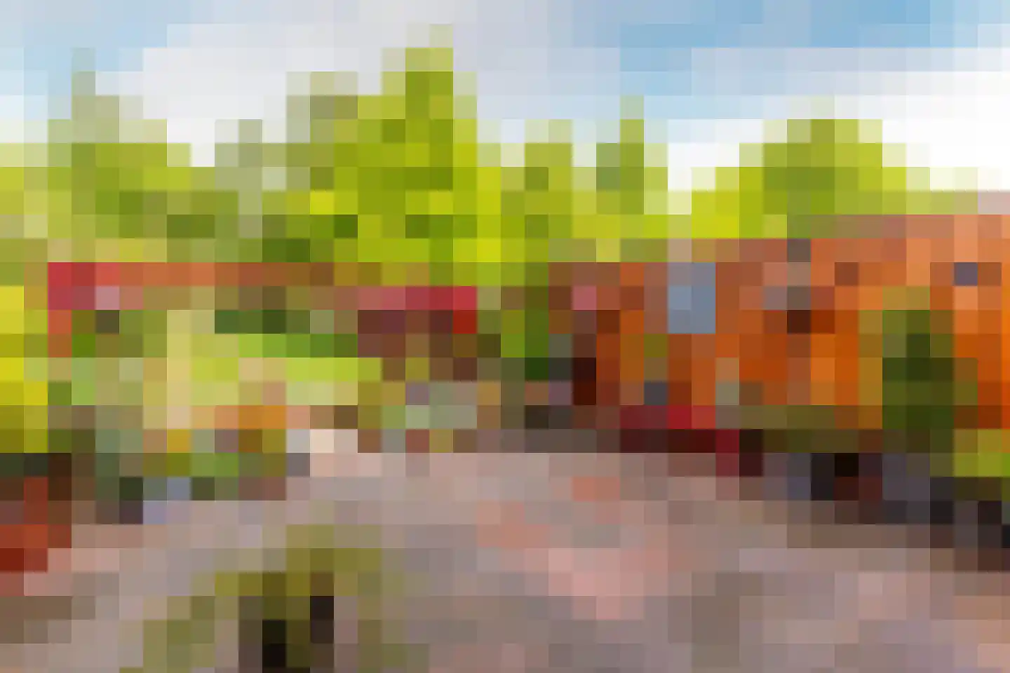Snippendaal 11 Nieuwerkerk aan den IJssel thumbnail 15