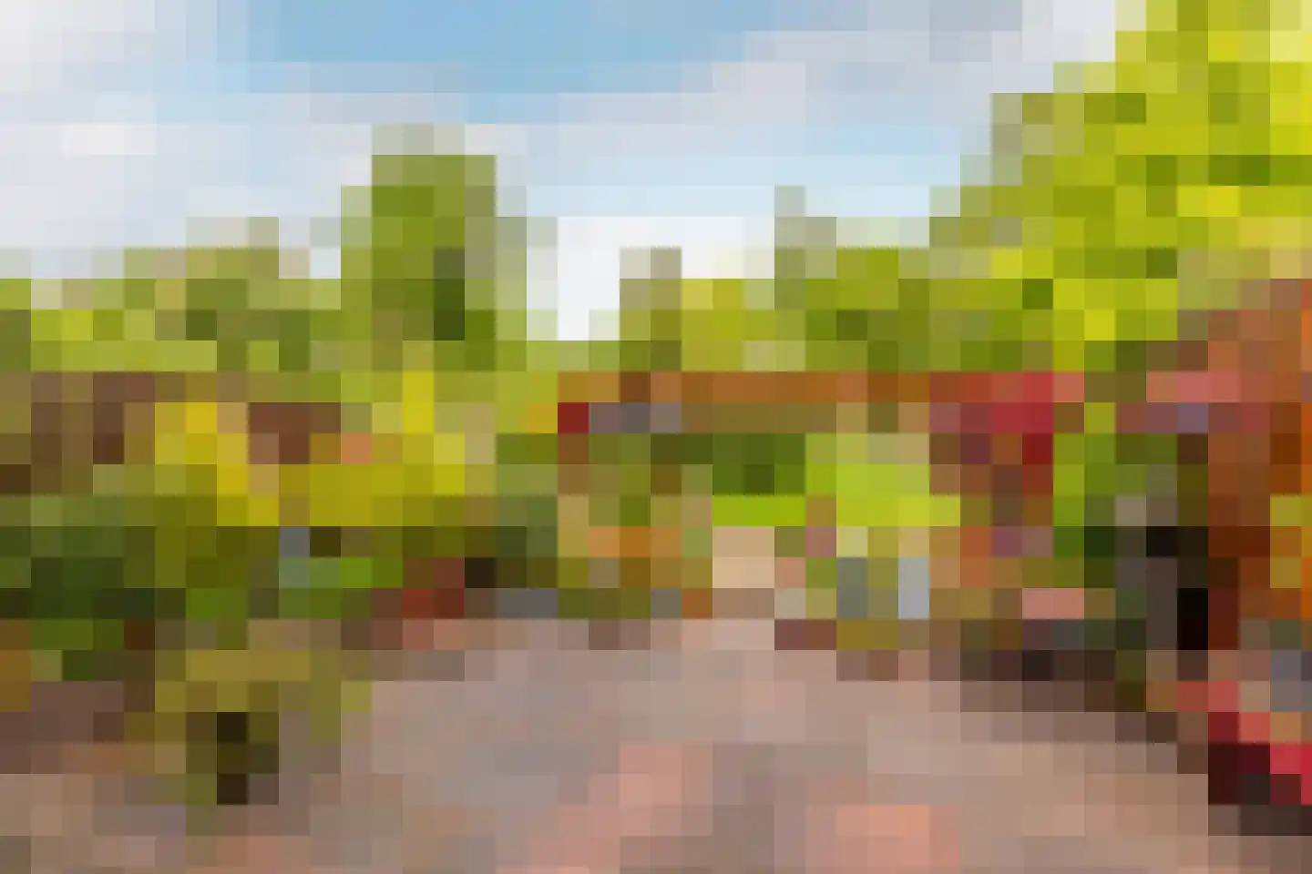 Snippendaal 11 Nieuwerkerk aan den IJssel thumbnail 16