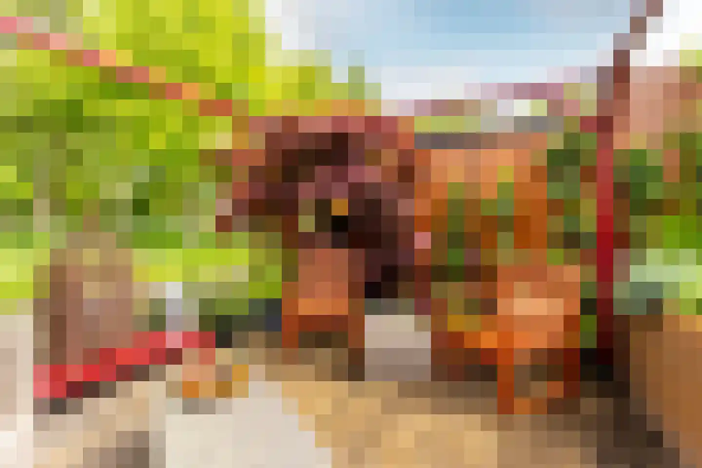 Snippendaal 11 Nieuwerkerk aan den IJssel thumbnail 17