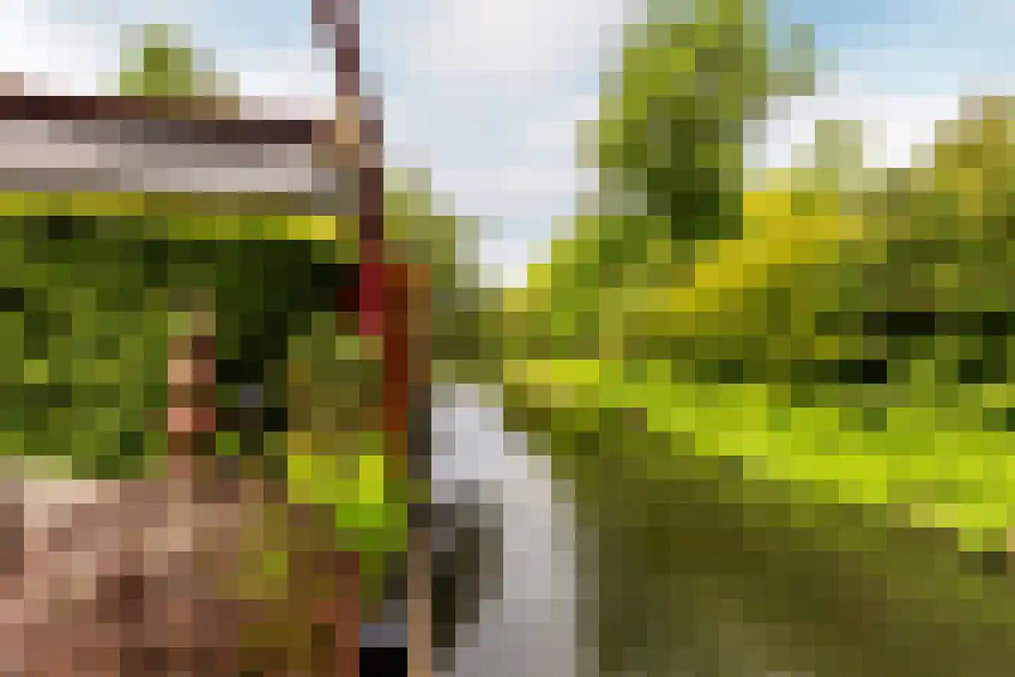 Snippendaal 11 Nieuwerkerk aan den IJssel thumbnail 19