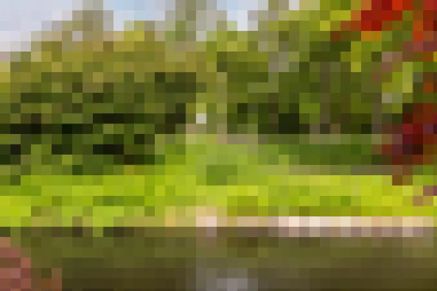Snippendaal 11 Nieuwerkerk aan den IJssel thumbnail 20