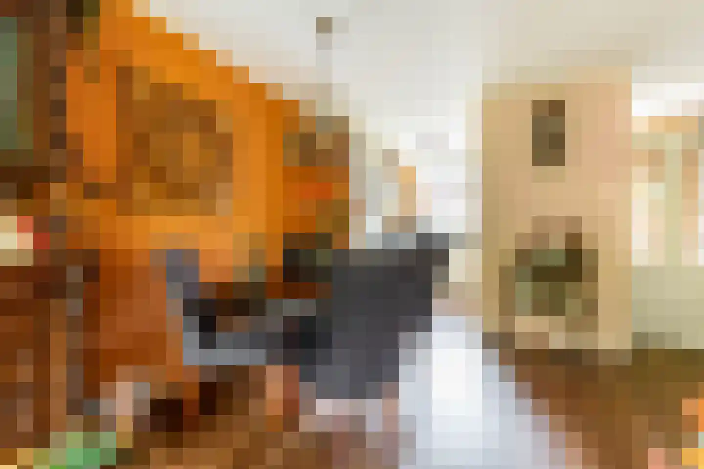 Snippendaal 11 Nieuwerkerk aan den IJssel thumbnail 23
