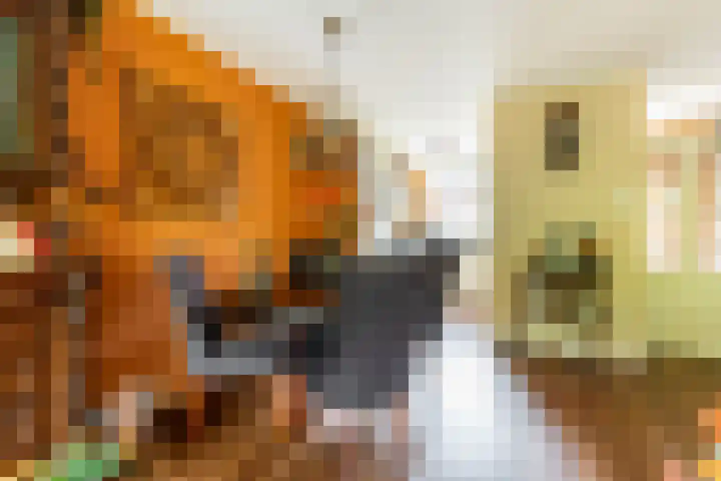 Snippendaal 11 Nieuwerkerk aan den IJssel thumbnail 24