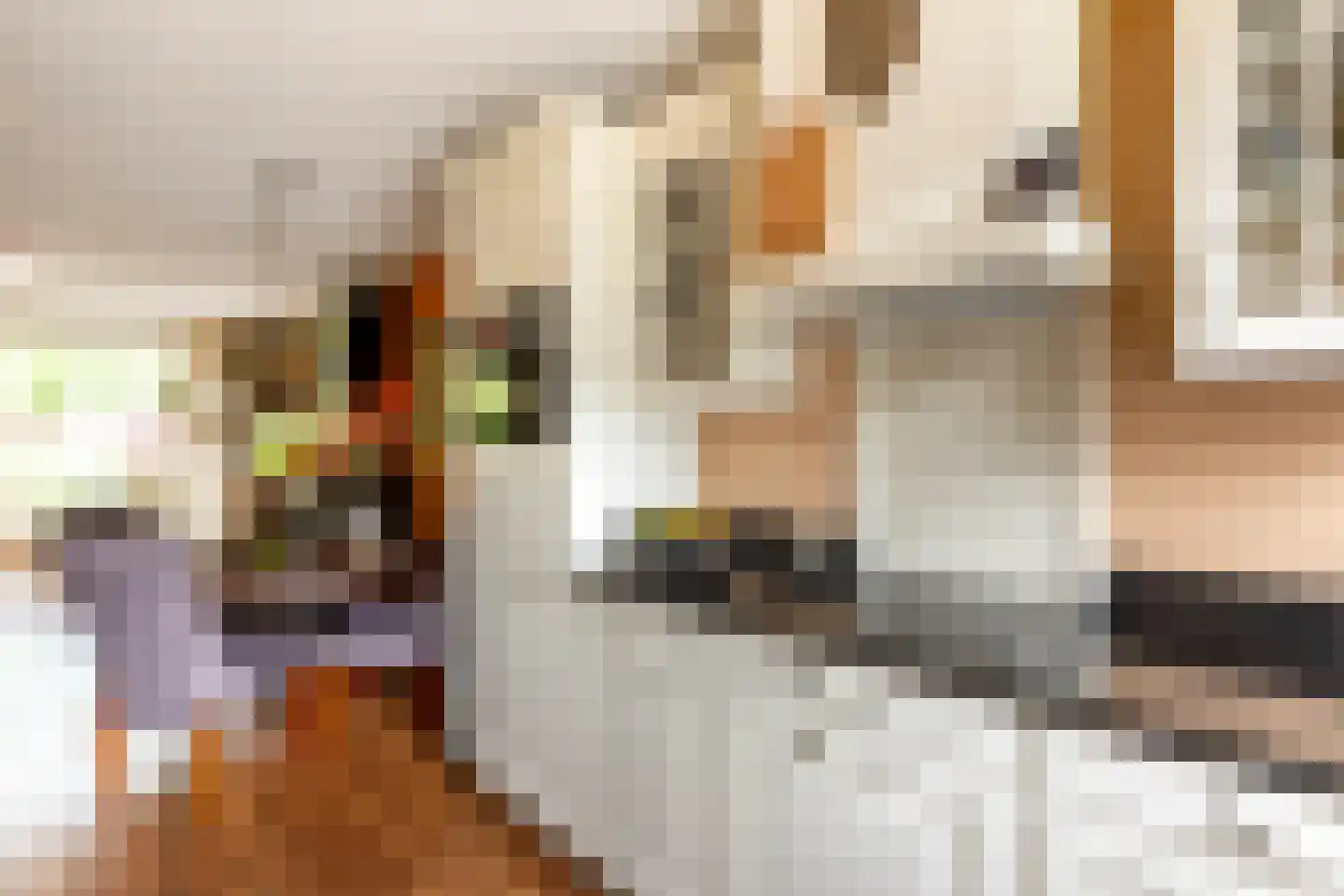 Snippendaal 11 Nieuwerkerk aan den IJssel thumbnail 25