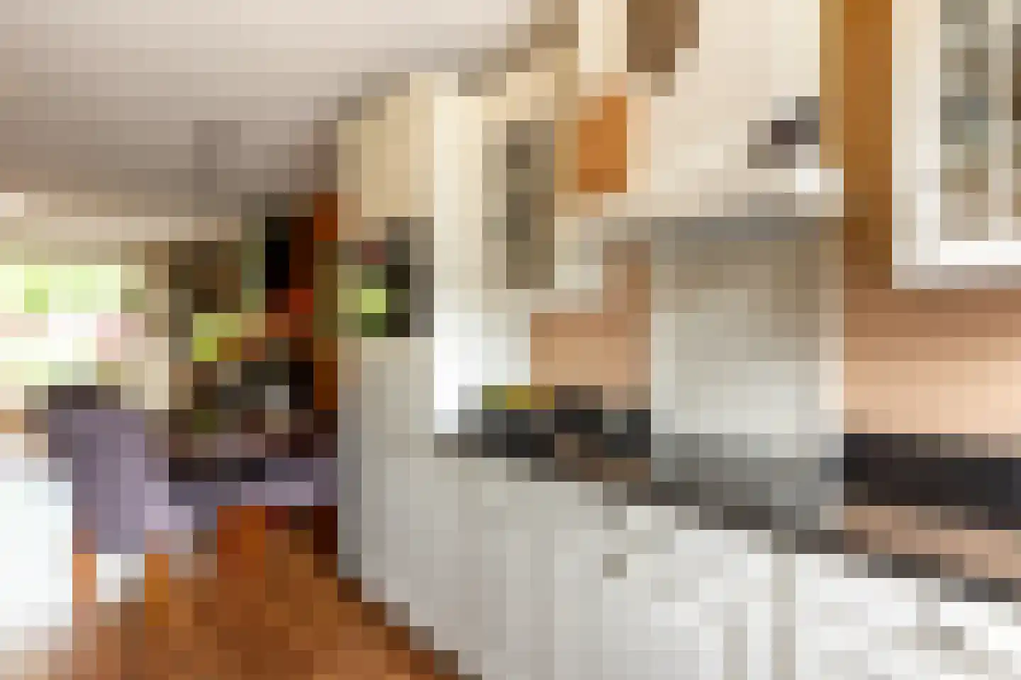 Snippendaal 11 Nieuwerkerk aan den IJssel thumbnail 26
