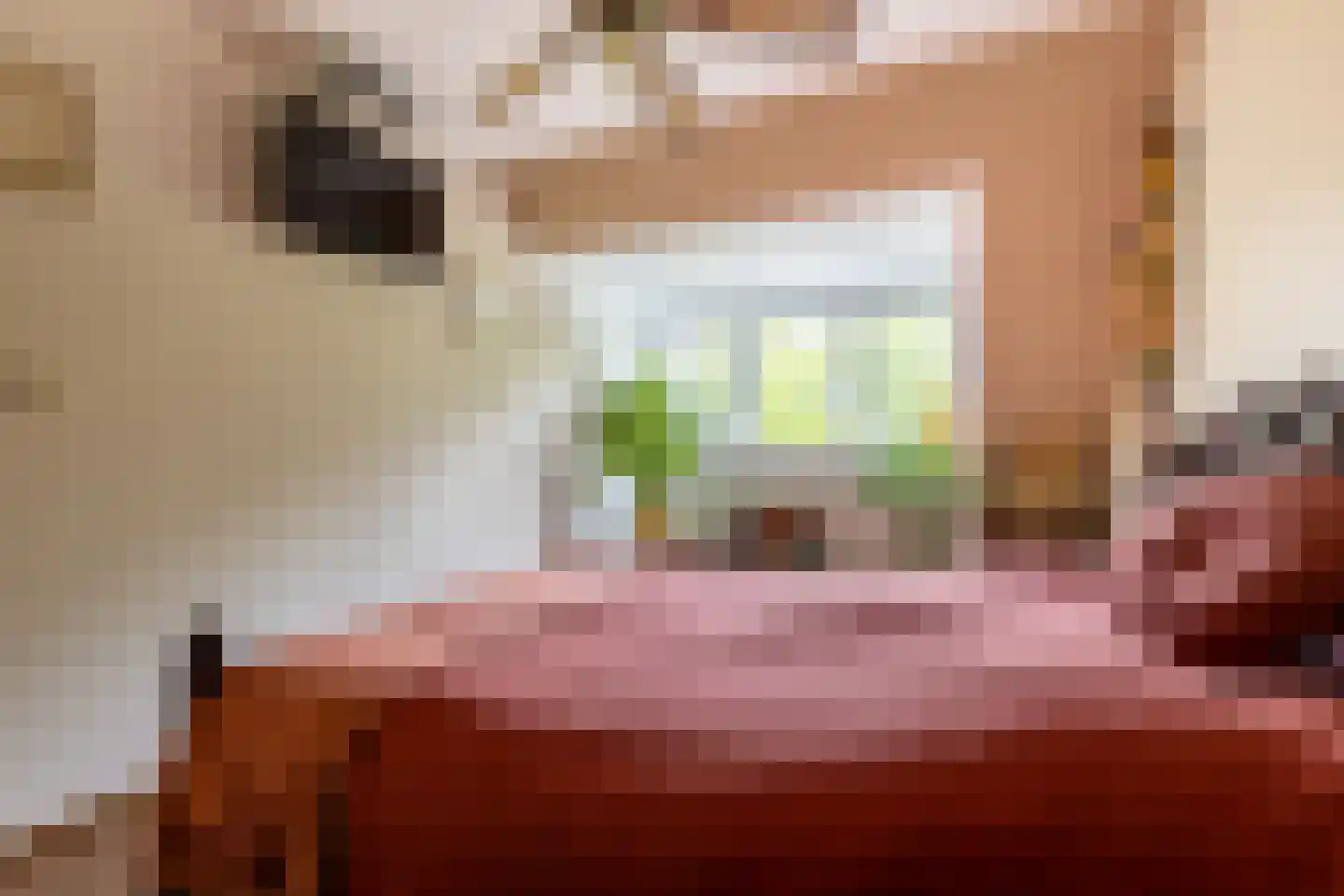 Snippendaal 11 Nieuwerkerk aan den IJssel thumbnail 29