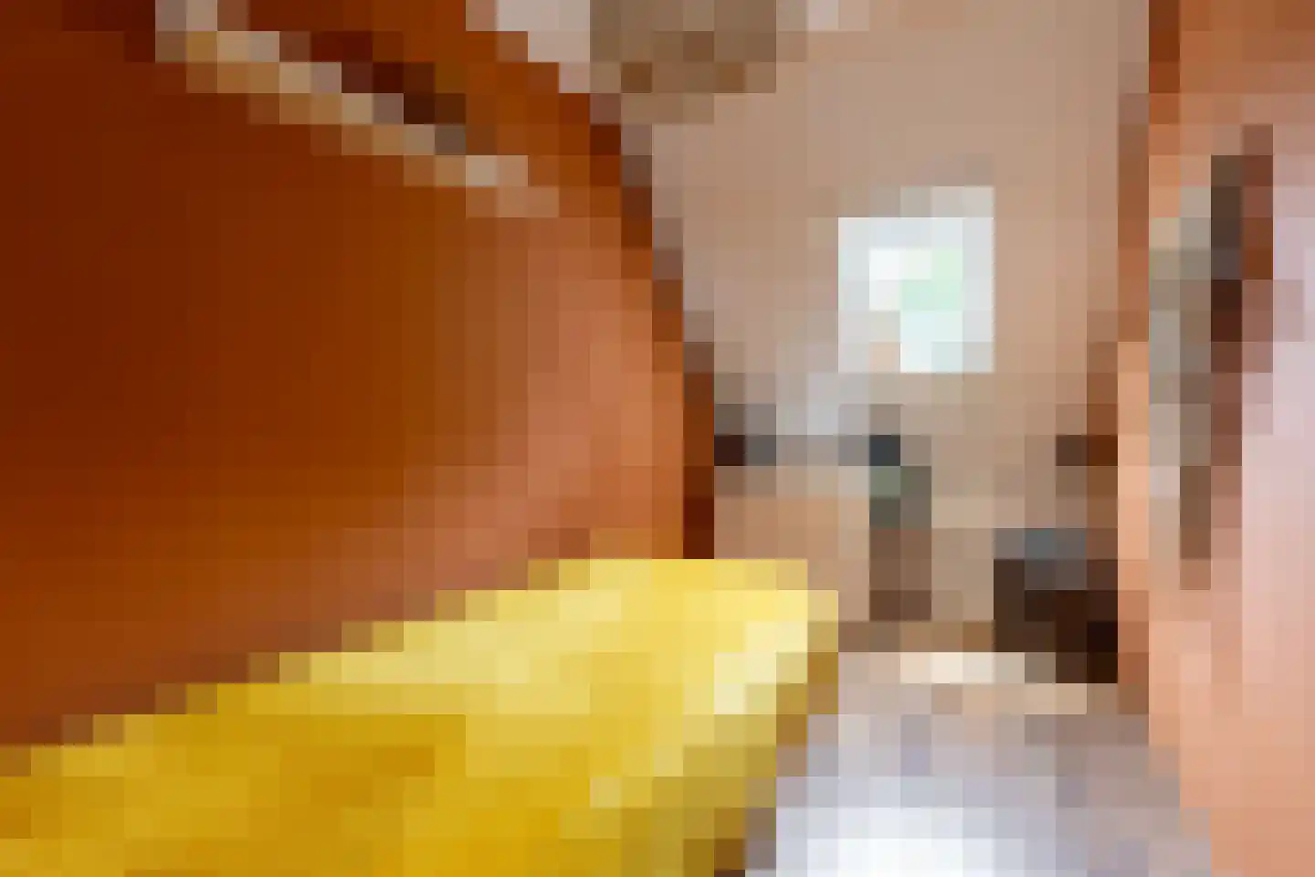 Snippendaal 11 Nieuwerkerk aan den IJssel thumbnail 32