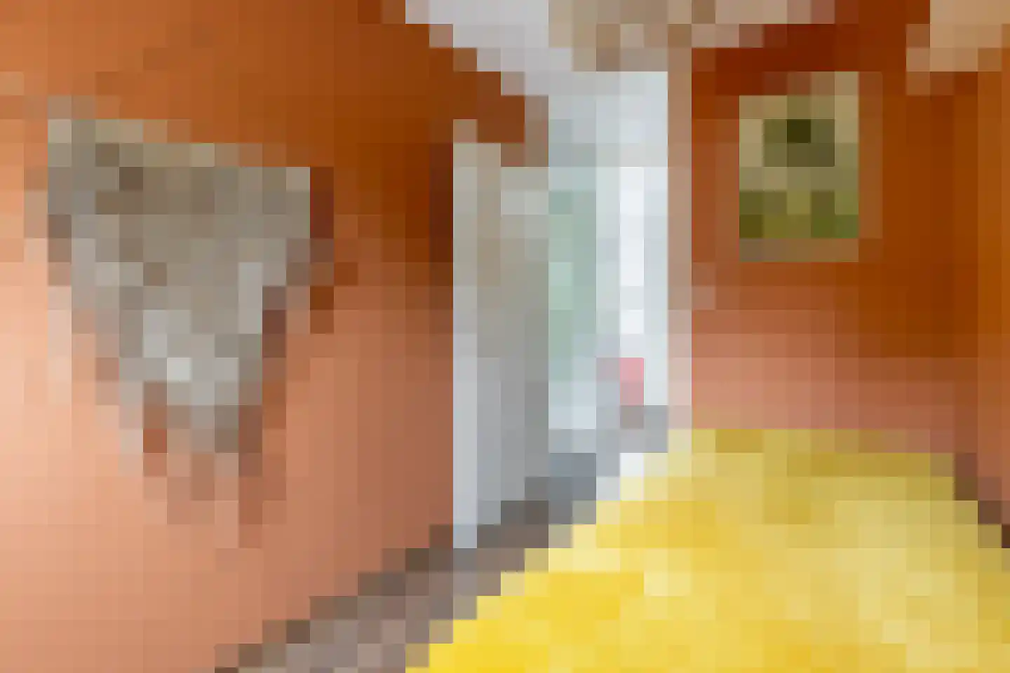 Snippendaal 11 Nieuwerkerk aan den IJssel thumbnail 33