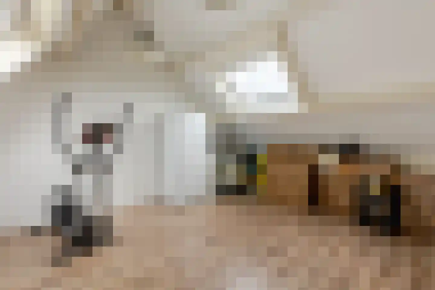 Snippendaal 11 Nieuwerkerk aan den IJssel thumbnail 37