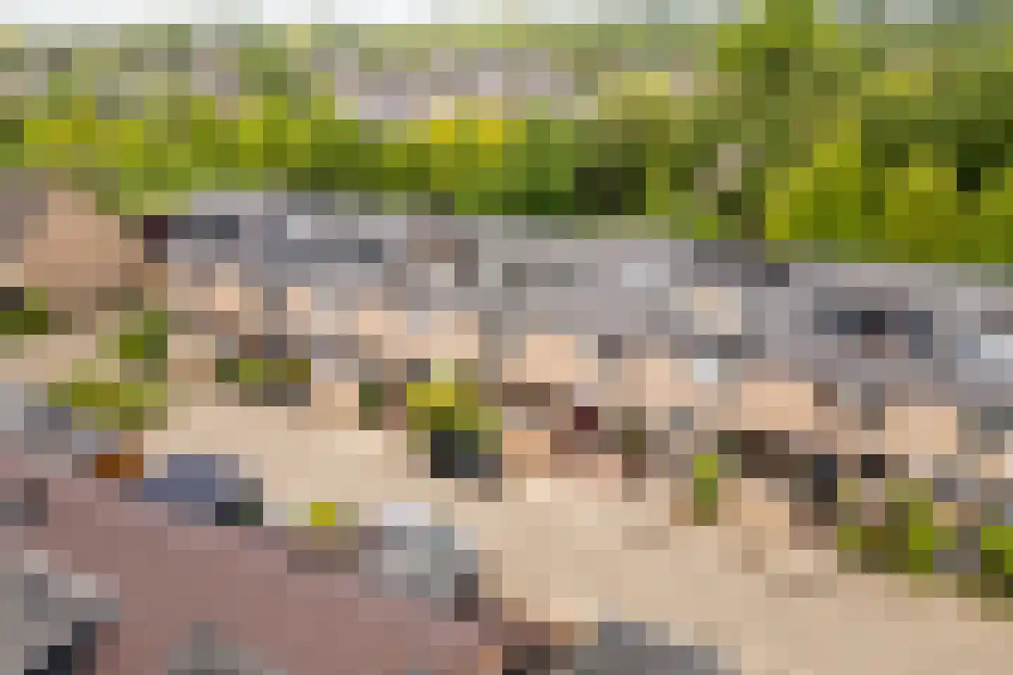 Snippendaal 11 Nieuwerkerk aan den IJssel thumbnail 39