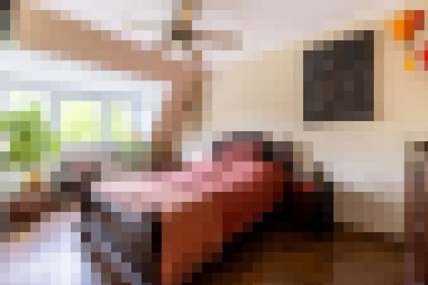 Snippendaal 11 Nieuwerkerk aan den IJssel thumbnail 4