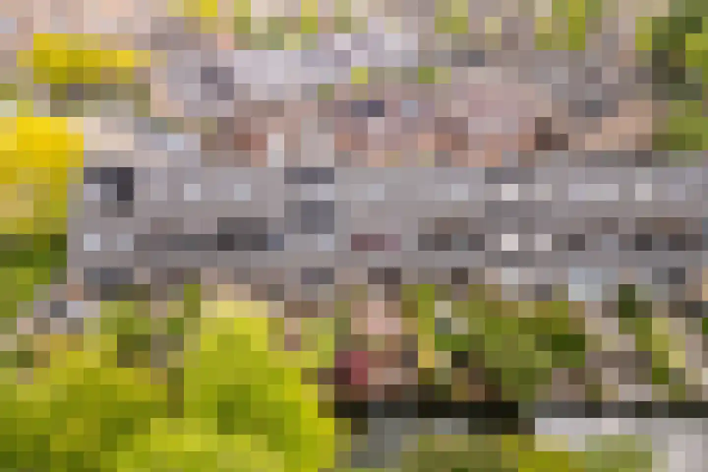 Snippendaal 11 Nieuwerkerk aan den IJssel thumbnail 40