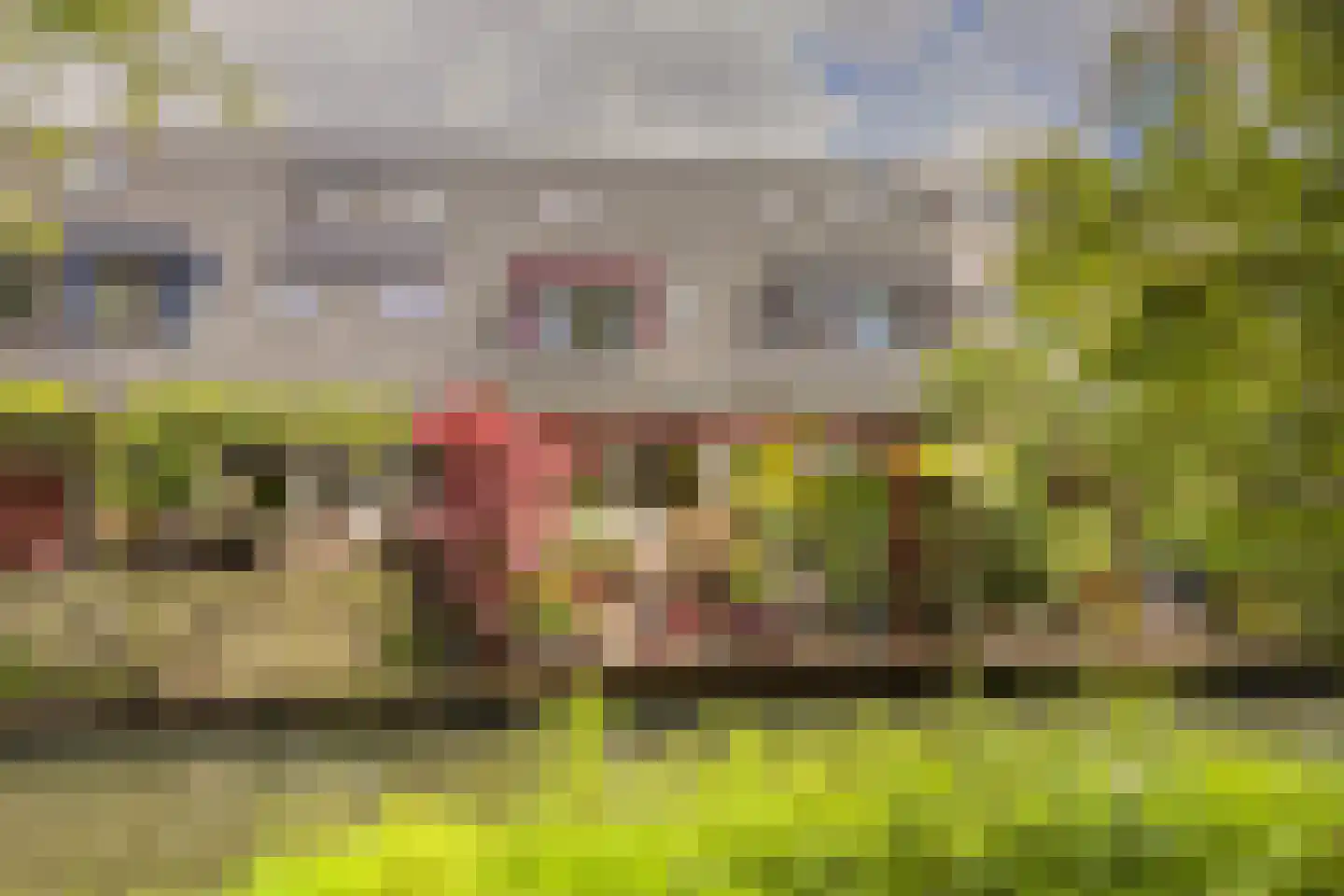Snippendaal 11 Nieuwerkerk aan den IJssel thumbnail 41