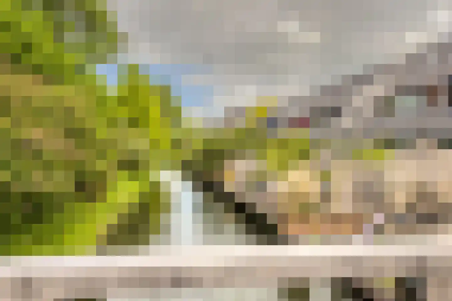 Snippendaal 11 Nieuwerkerk aan den IJssel thumbnail 43