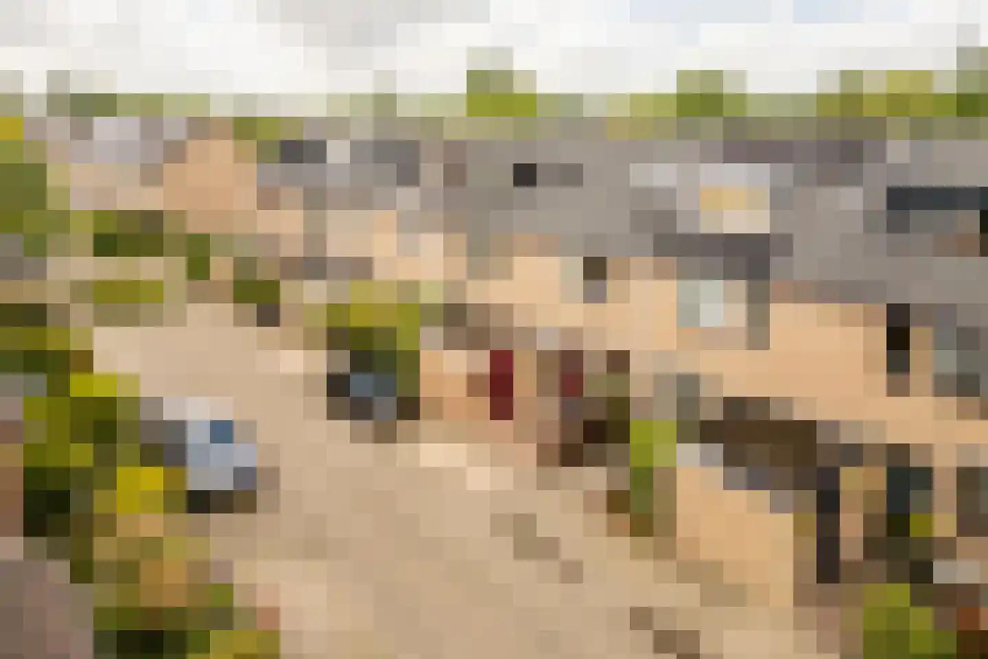Snippendaal 11 Nieuwerkerk aan den IJssel thumbnail 45