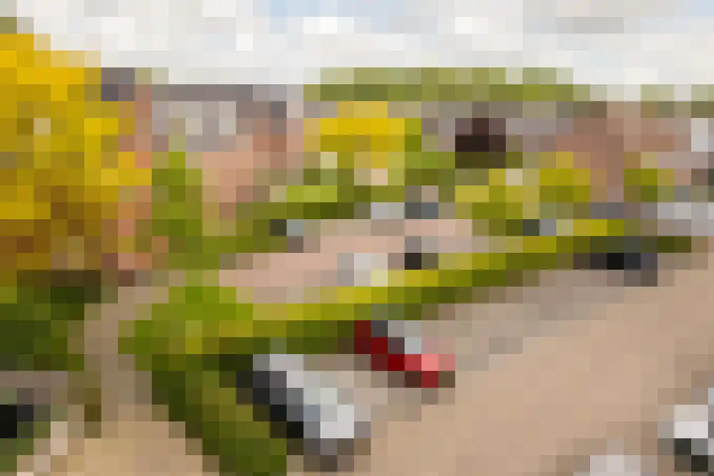 Snippendaal 11 Nieuwerkerk aan den IJssel thumbnail 51