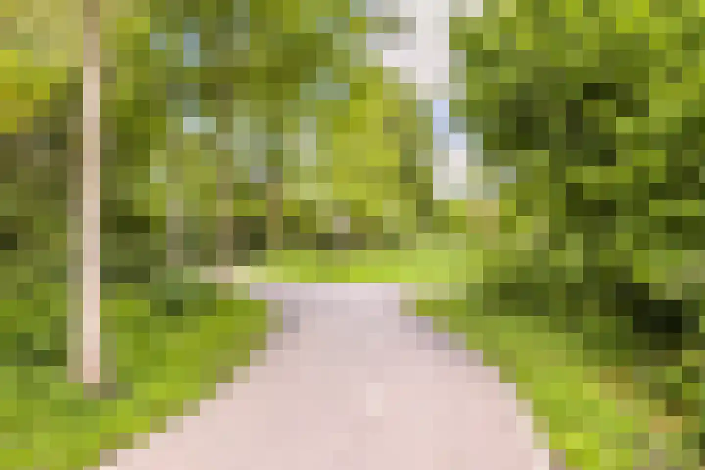Snippendaal 11 Nieuwerkerk aan den IJssel thumbnail 52