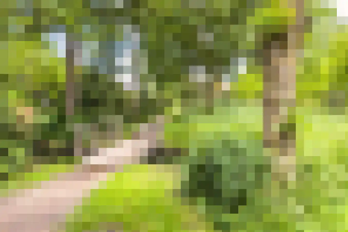 Snippendaal 11 Nieuwerkerk aan den IJssel thumbnail 53