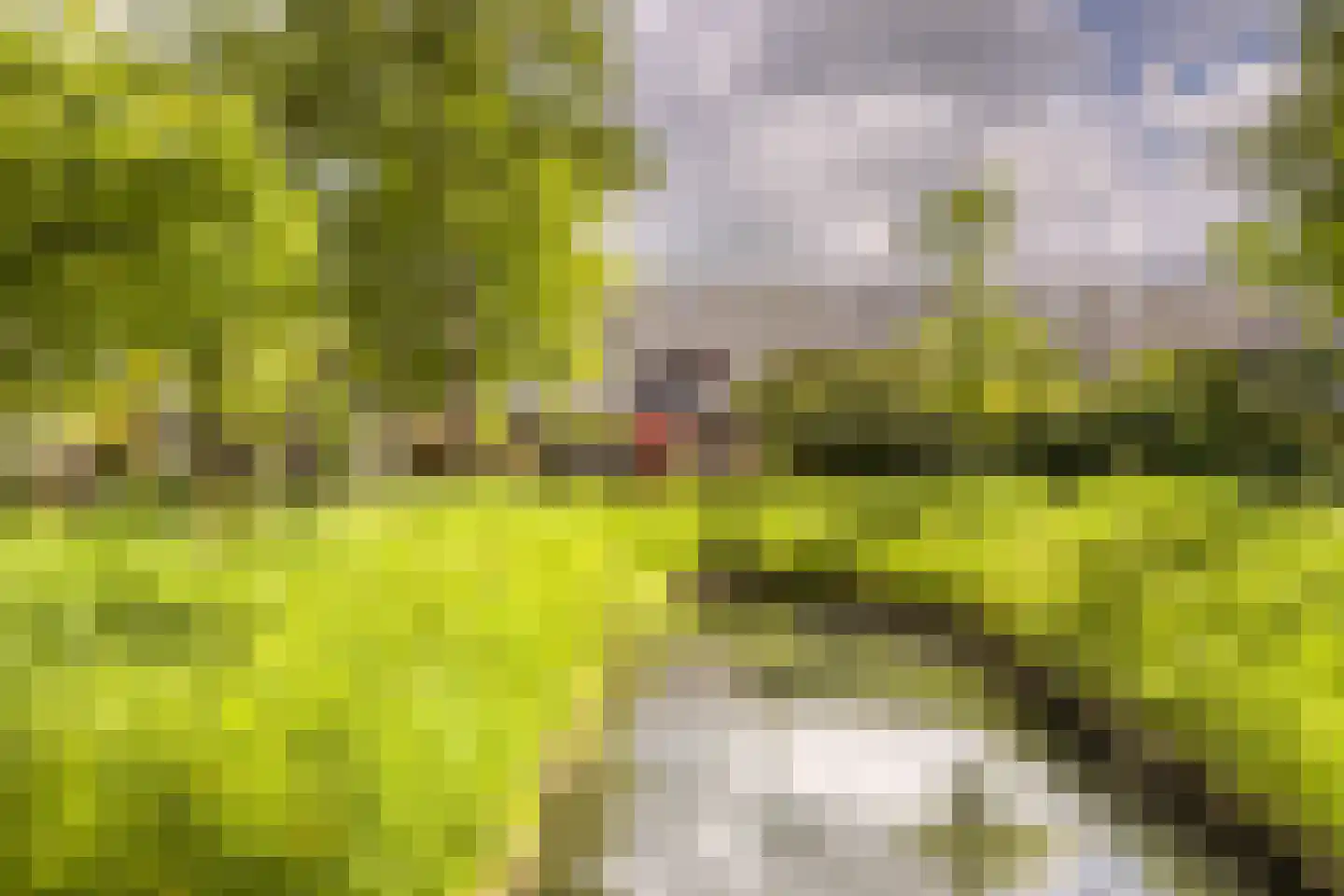 Snippendaal 11 Nieuwerkerk aan den IJssel thumbnail 54