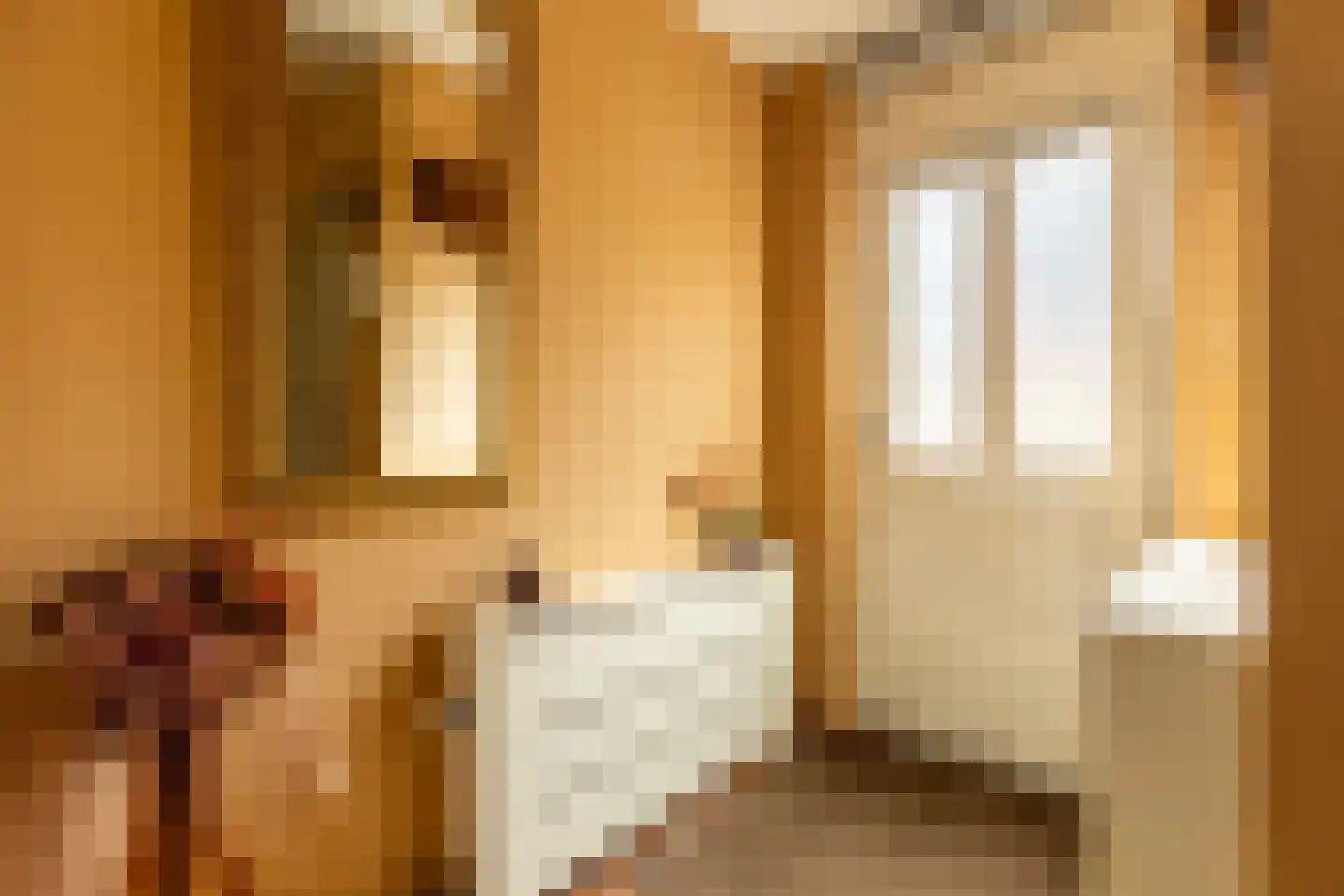 Snippendaal 11 Nieuwerkerk aan den IJssel thumbnail 8