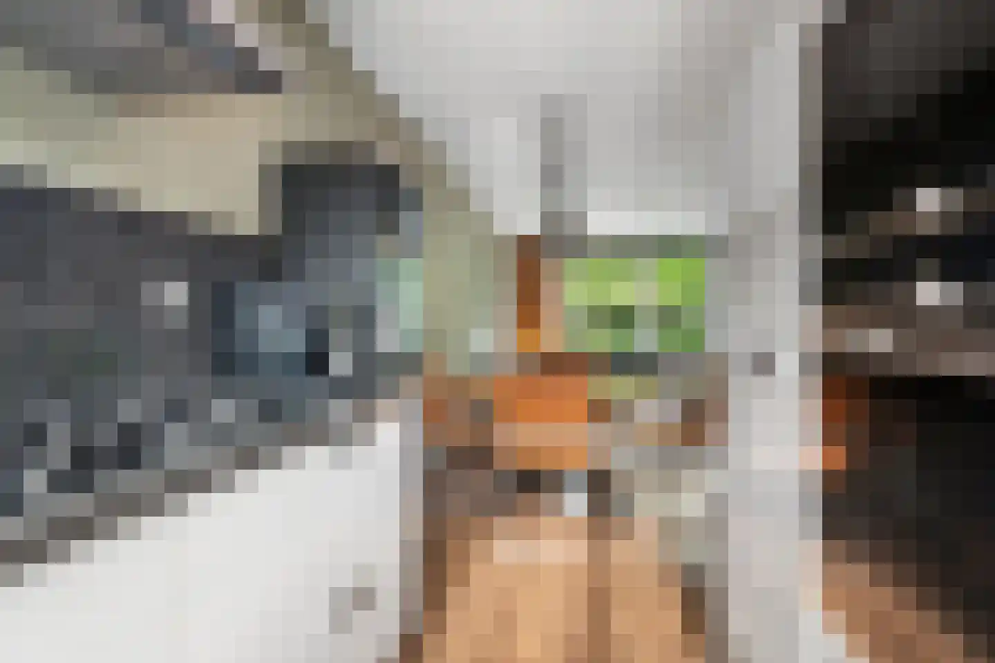 Snippendaal 13 Nieuwerkerk aan den IJssel thumbnail 10