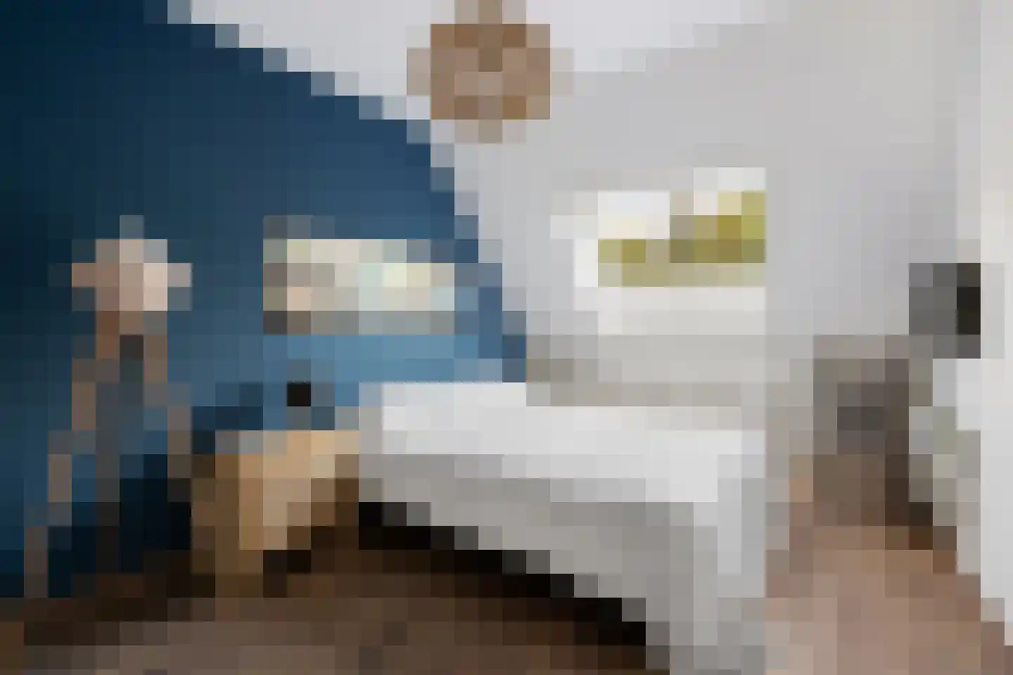 Snippendaal 13 Nieuwerkerk aan den IJssel thumbnail 12