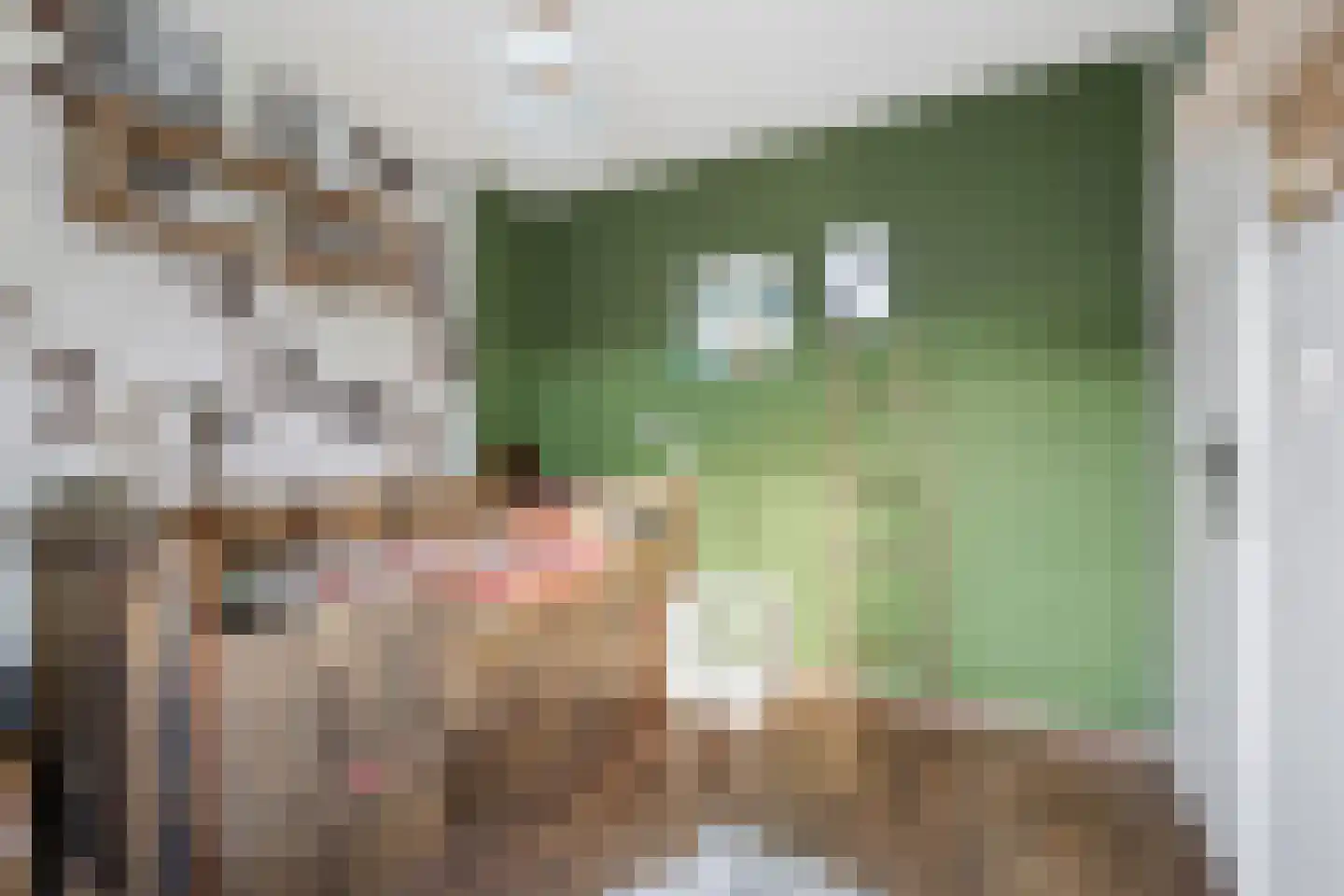 Snippendaal 13 Nieuwerkerk aan den IJssel thumbnail 15