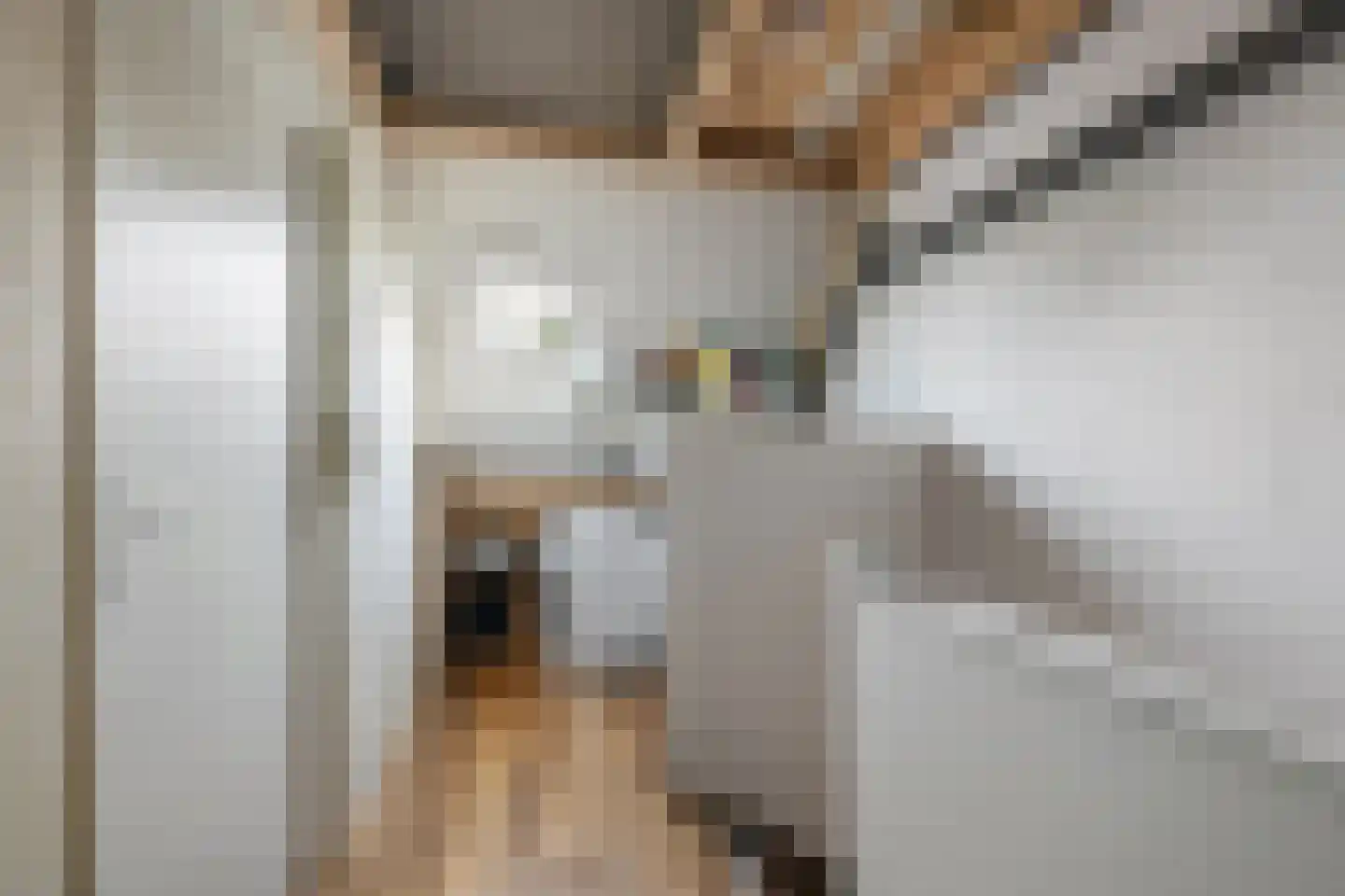 Snippendaal 13 Nieuwerkerk aan den IJssel thumbnail 19