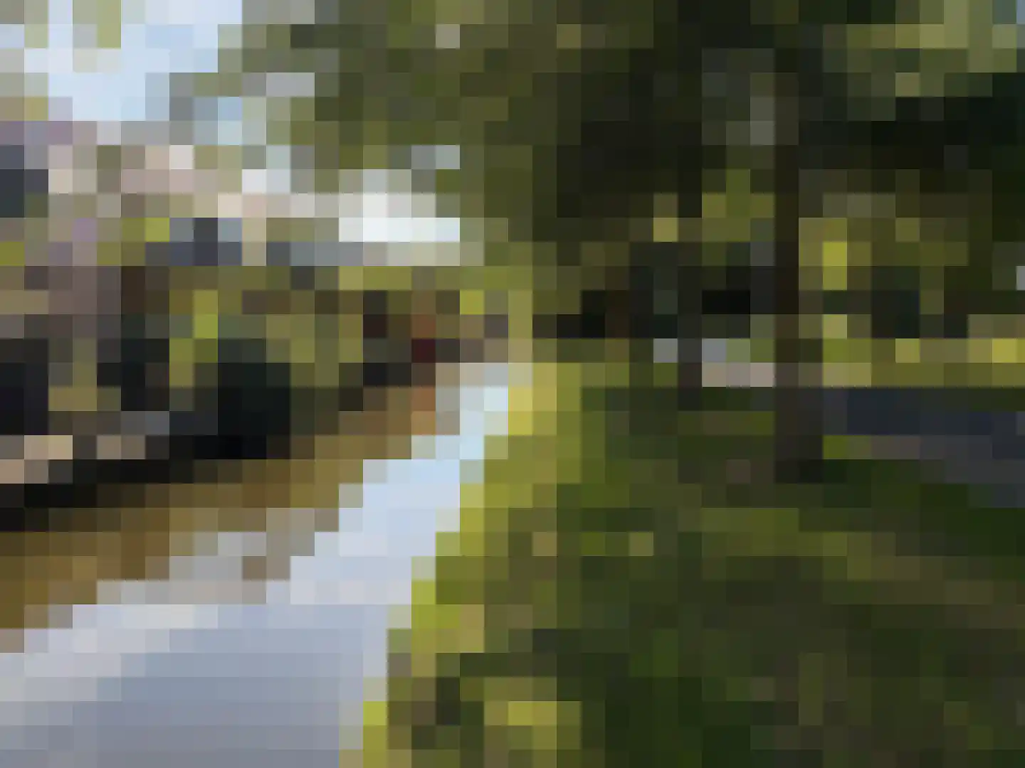 Snippendaal 13 Nieuwerkerk aan den IJssel thumbnail 28