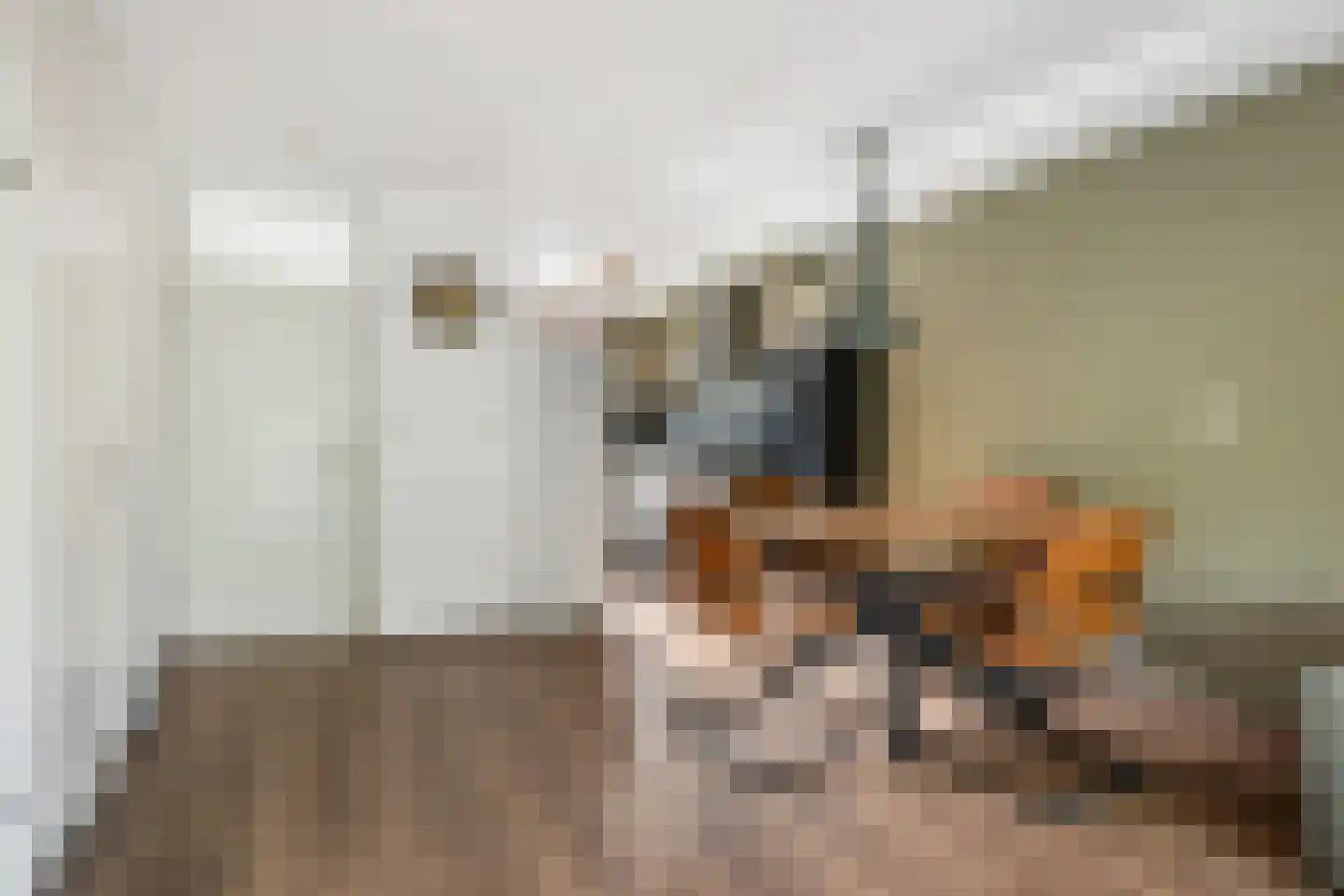 Snippendaal 13 Nieuwerkerk aan den IJssel thumbnail 6