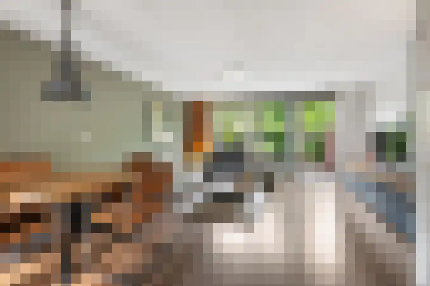 Snippendaal 13 Nieuwerkerk aan den IJssel thumbnail 7
